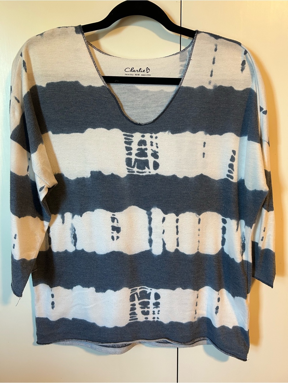 CHARLIE B Blue and White Striped V-Neck Knit Top